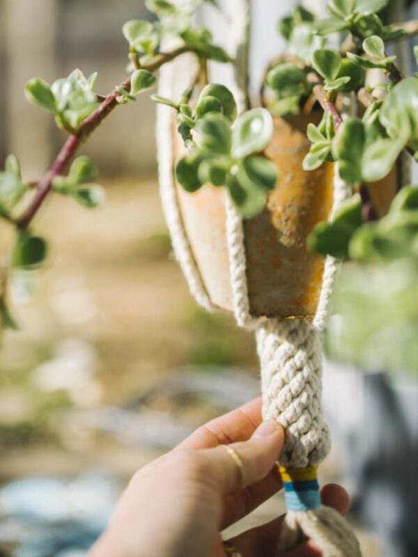 Hand-knotted Dignity Plant Hanger - Mustard Multi