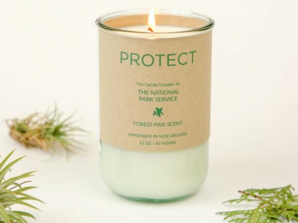 PROTECT Soy Candle - Forest Pine Scent