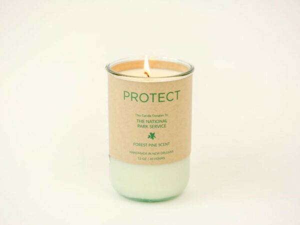 PROTECT Soy Candle - Forest Pine Scent