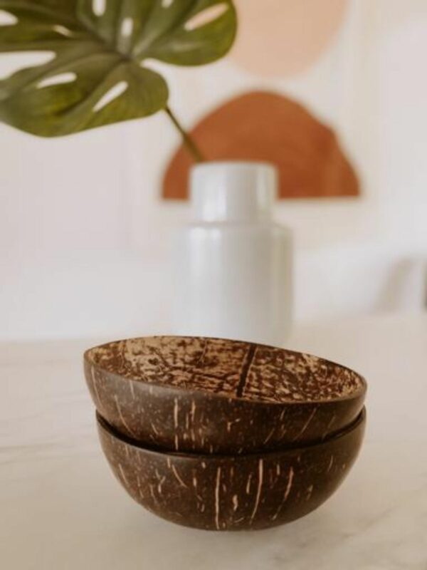 Natural Coconut Bowl - Large