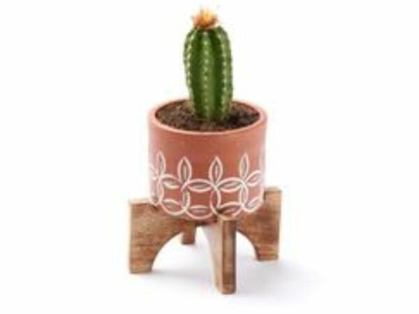 Terracotta Mango Planter with Stand