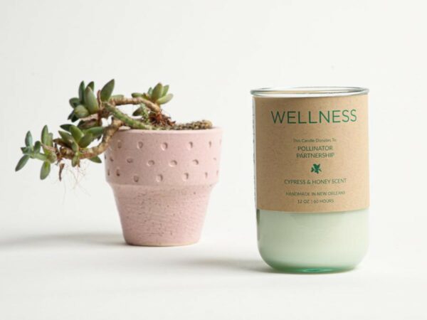 WELLNESS Soy Candle - Rigaud Cypress Scent