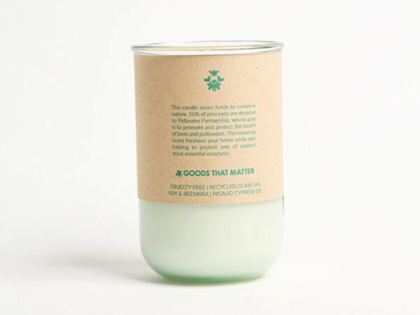 WELLNESS Soy Candle - Rigaud Cypress Scent